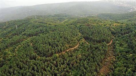 Cumhurbaşkanı Erdoğan imzasıyla 11 ilde bazı alanlar orman sınırları dışına çıkarıldı